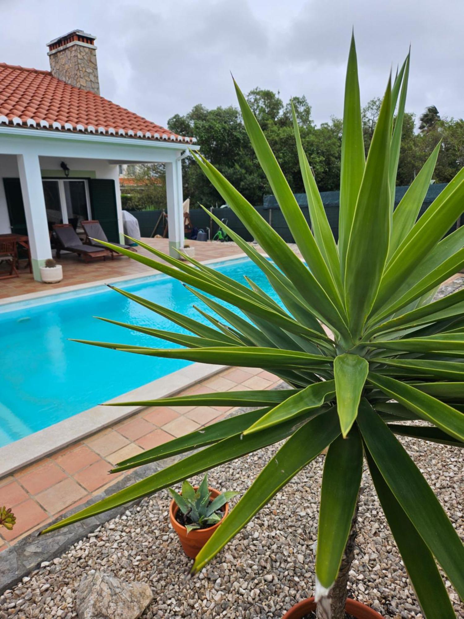 Casa Delbon Guest House Алжезур Екстериор снимка